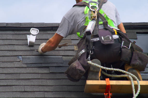 Best Gutter Installation and Roofing  in Douglas, GA