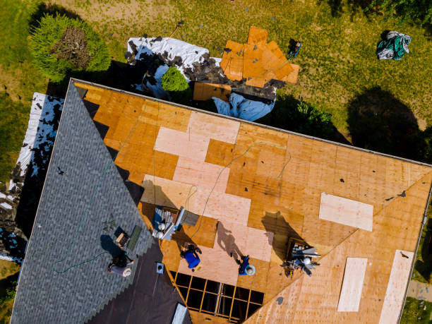 Best Storm Damage Roof Repair  in Douglas, GA