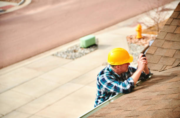 Best Roof Gutter Cleaning  in Douglas, GA