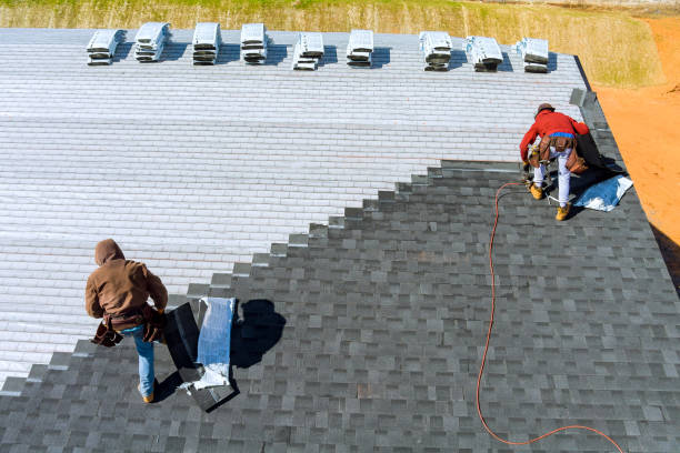 Best Shingle Roofing Installation  in Douglas, GA